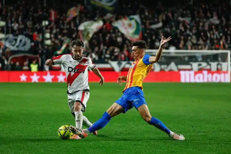 霍芬海姆 VS 科隆